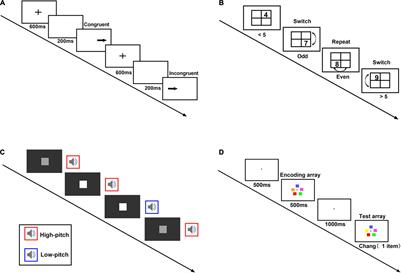 The Cycling Brain in the Workplace: Does Workload Modulate the Menstrual Cycle Effect on Cognition?